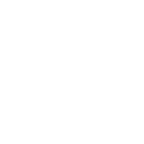 Icon: Shelter and Settlements