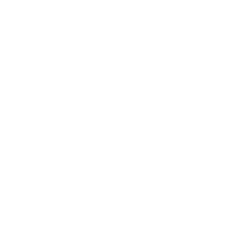 Icon: Special Long-Term Residence Permit