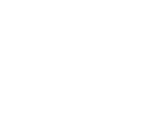 Icon: Visas