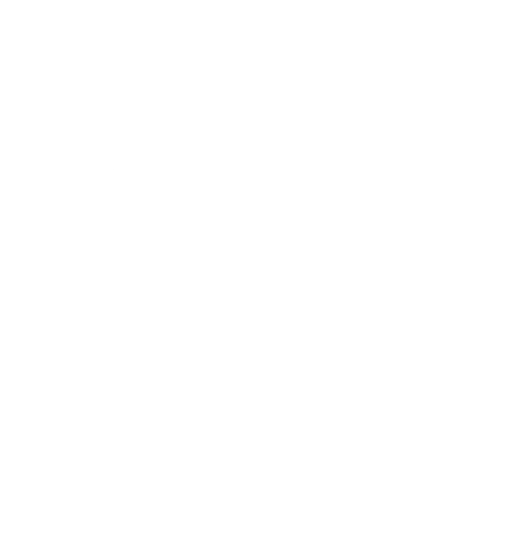 Icon: Family Reunification
