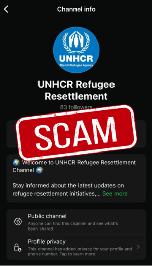 screenshot of online scam